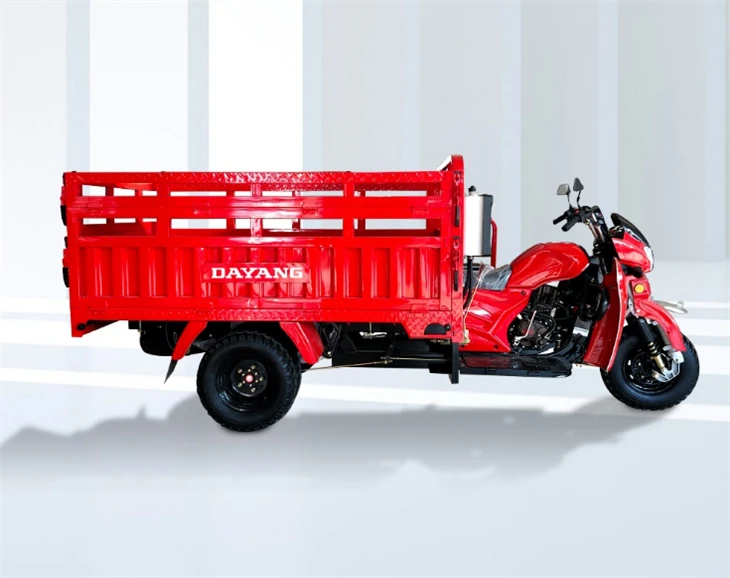 DAYANG Factory Cargo Motor Tricycle Hydraulic Dump Fuel Oil Tricycle Motorcycle (3)