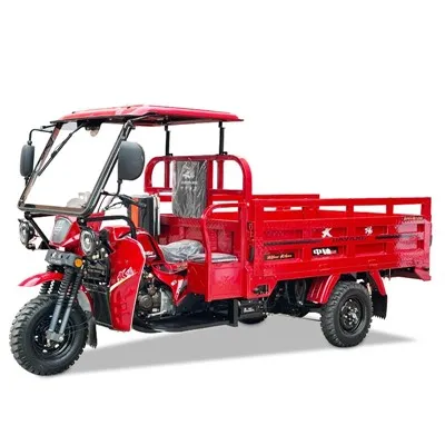 Popularne części do trójkołowych motocykli pasażerskich Cargo